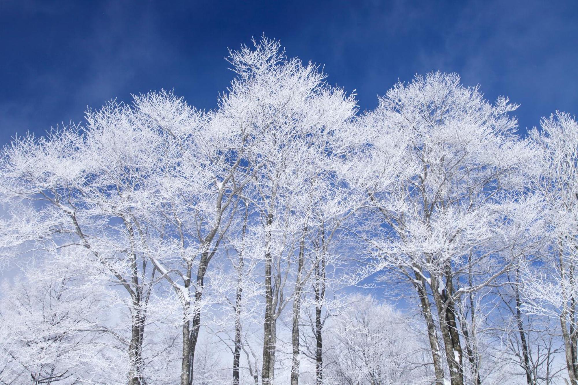 Hakuba Hatago Maruhachi Εξωτερικό φωτογραφία
